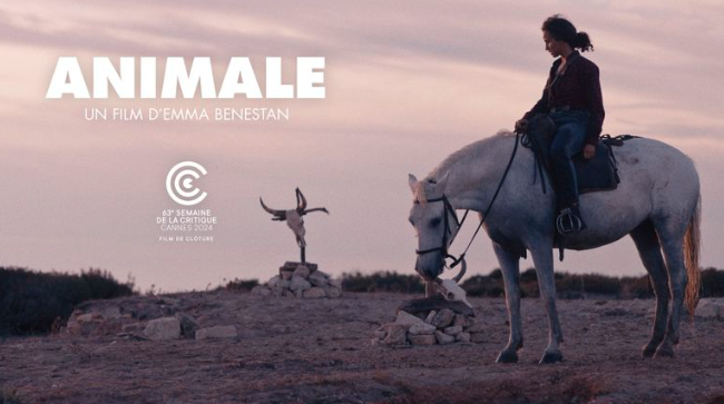 Pourquoi Un Abonnement IPTV Belge?